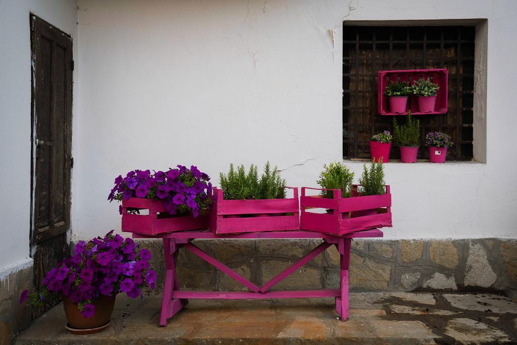 Agriturismo Cascina Del Vai ไคโร มอนเตนอตเต ภายนอก รูปภาพ