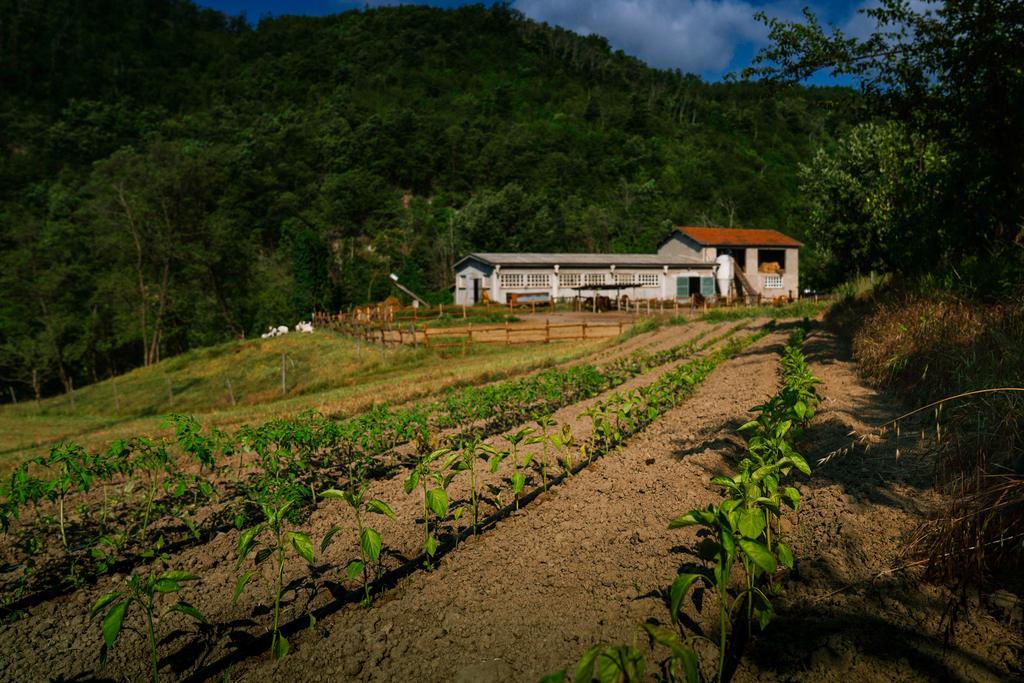 Agriturismo Cascina Del Vai ไคโร มอนเตนอตเต ภายนอก รูปภาพ